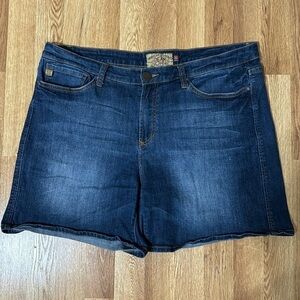 American Standard Dear John Denim Jean Shorts size 32